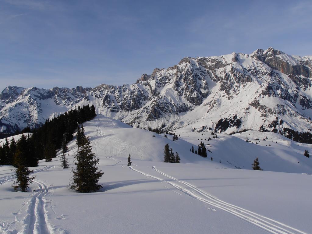 Bauernhof Bachgut Βίλα Mühlbach am Hochkönig Εξωτερικό φωτογραφία