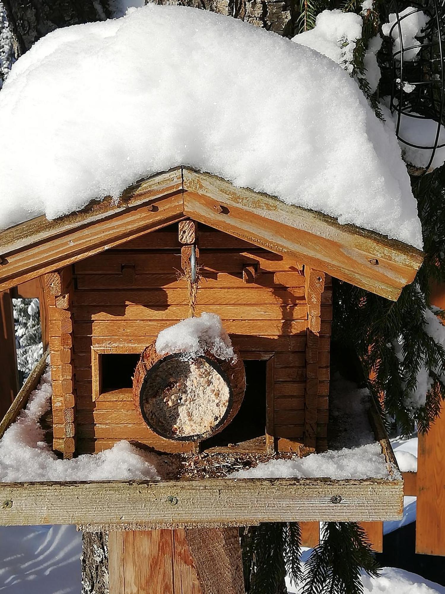 Bauernhof Bachgut Βίλα Mühlbach am Hochkönig Εξωτερικό φωτογραφία