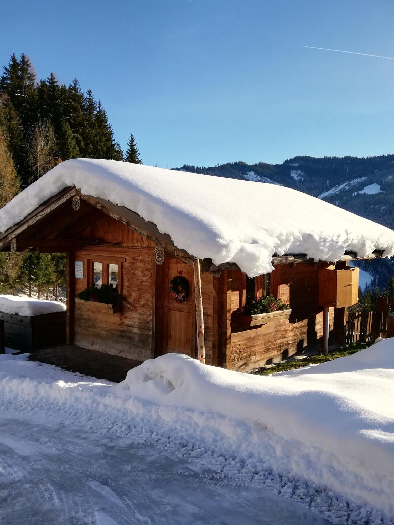 Bauernhof Bachgut Βίλα Mühlbach am Hochkönig Εξωτερικό φωτογραφία
