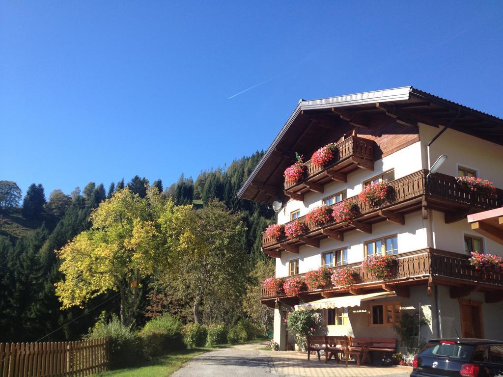 Bauernhof Bachgut Βίλα Mühlbach am Hochkönig Εξωτερικό φωτογραφία
